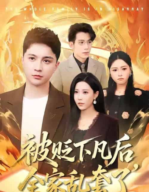 被贬下凡后,全家乱套了(88集全)建泽正&岳舒窃-搜外项目网