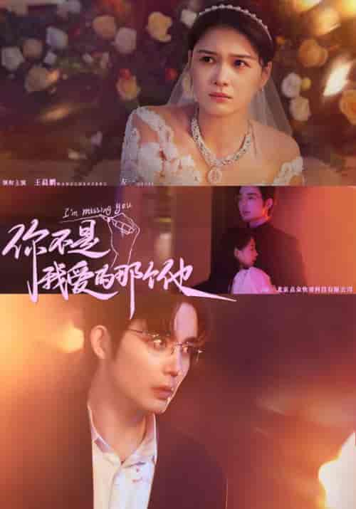 你不是我爱的那个他（54集全）顾予＆江晨-搜外项目网