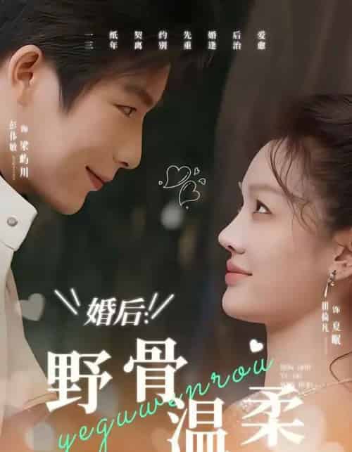 婚后：野骨温柔（80集全）彭伟敏＆田倚凡-搜外项目网