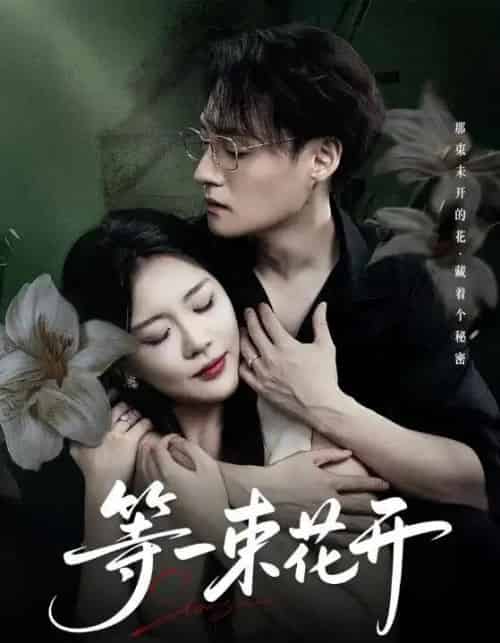 等一束花开（71集全）安敏＆强宇-搜外项目网