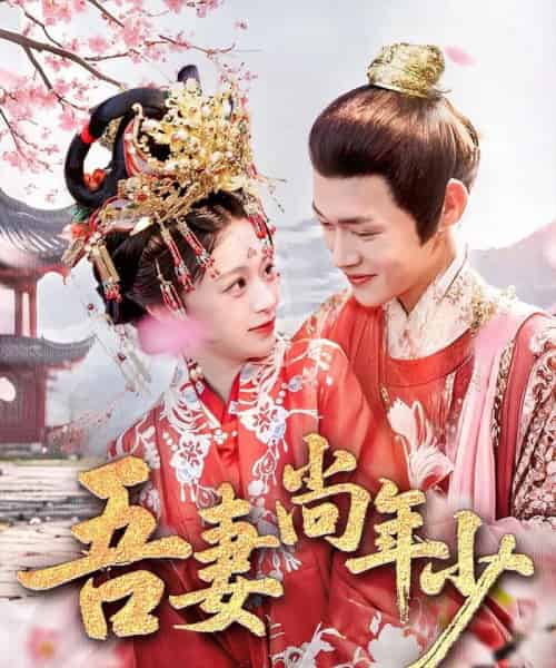 吾妻尚年少（60集）郏元栋＆吕丹妮-搜外项目网