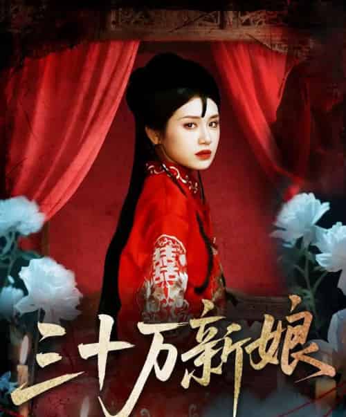 三十万新娘（50集）文聪＆林七月-搜外项目网