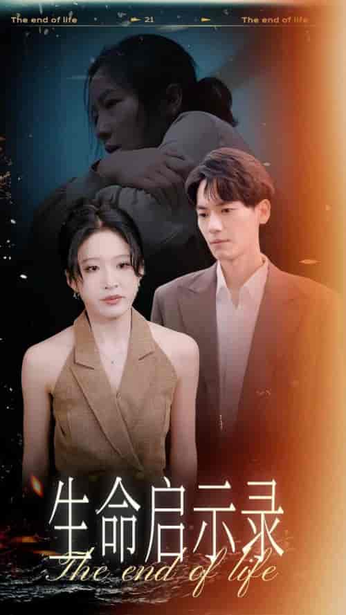 生命启示录（54集全）宋喃-搜外项目网