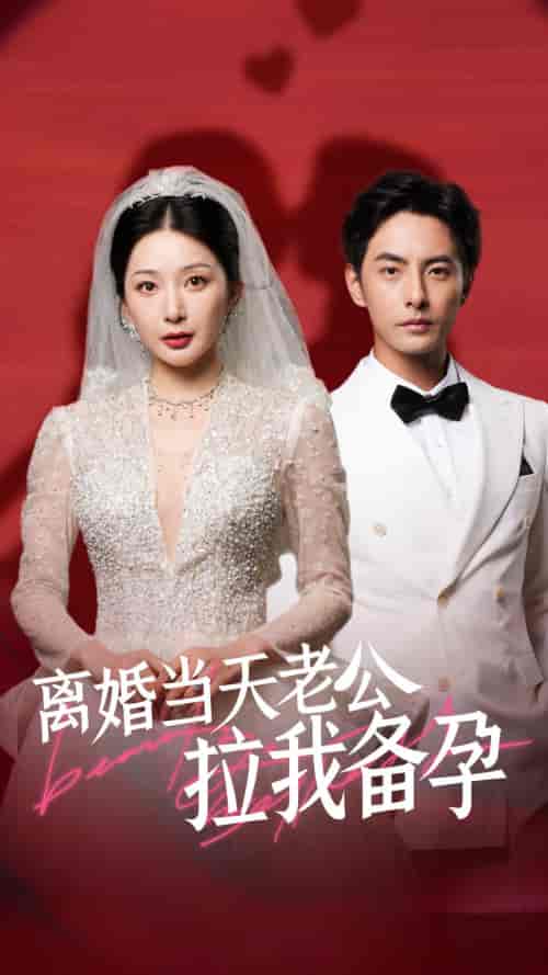 离婚当天老公拉我备孕（68集）初五-搜外项目网