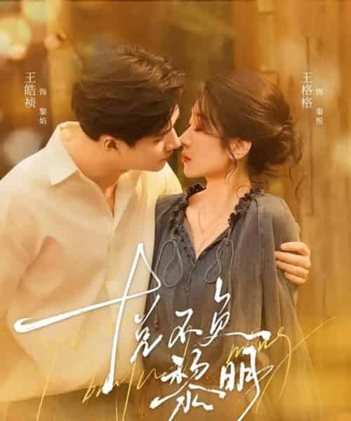 悦不负黎明（61集全）王皓祯＆王格格-搜外项目网
