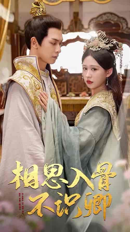 相思入骨不识卿（64集）柴慧欣-搜外项目网