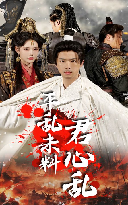 平乱未料君心乱（30集）孔奇力＆董洁-搜外项目网