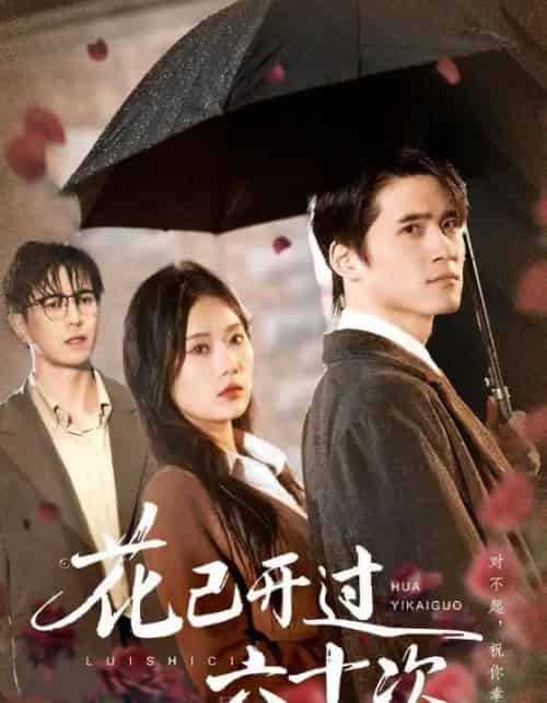 花已开过六十次&情敌交手她选择躺赢(72集全)傅汉源&赵佳欣-搜外项目网