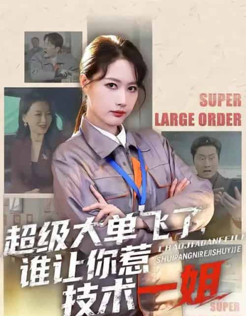 超级大单飞了，谁让你惹技术一姐（70集全）黄兴饶＆张子璇-搜外项目网
