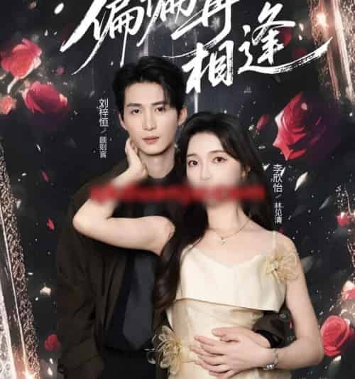 偏偏再相逢(54集全)刘梓恒&李欣怡-搜外项目网