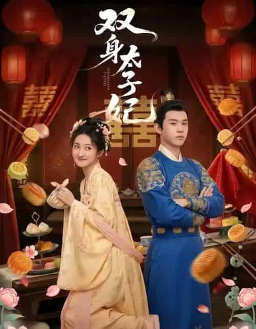 双身太子妃（66集全）家昊＆柳卓青-搜外项目网