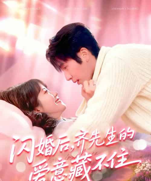 闪婚后，齐先生的爱意藏不住（85集全）景文＆李雪阳-搜外项目网