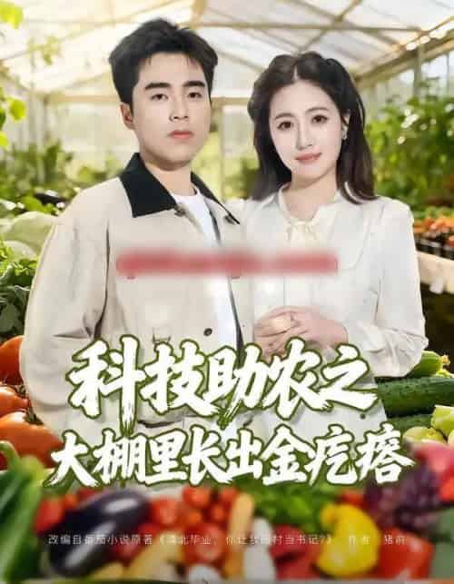 科技助农之大棚里长出金疙瘩(80集全)秦英皓&六一-搜外项目网