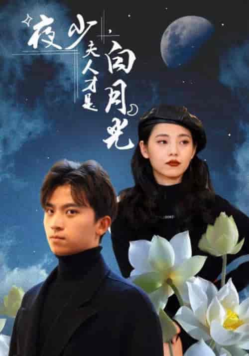 夜少，夫人才是白月光（101集全）夜南天＆慕容嫣-搜外项目网