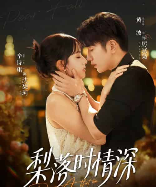 梨落时情深（60集全）黄波＆辛诗琪-搜外项目网
