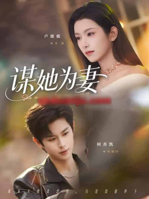 谋她为妻（82集全）何善凯＆卢鹿鹿-搜外项目网