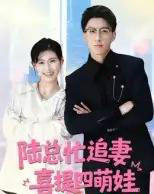 陆总忙追妻喜提四萌娃（60集全）杨晓婷-搜外项目网