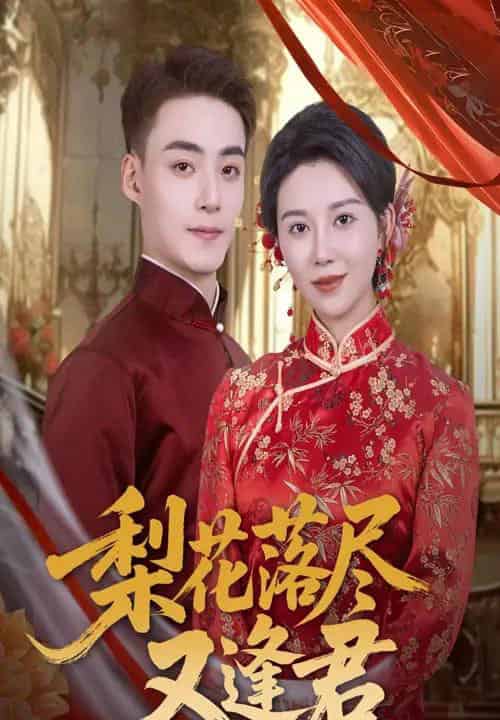 梨花落尽又逢君（61集）孔莹莹＆申阳-搜外项目网