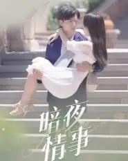 暗夜情事（100集全）李豪＆朱梦怡-搜外项目网