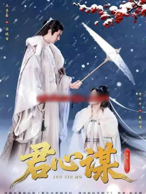 君心谋（80集全）王彦鑫＆常丹丹-搜外项目网