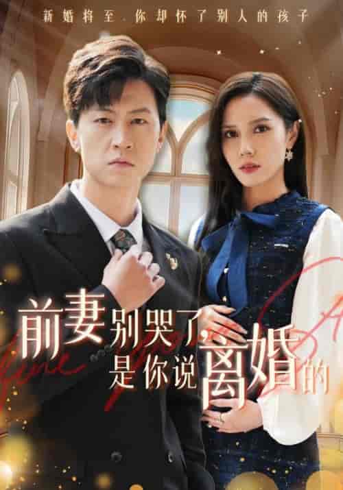 前妻别哭了，是你说离婚的（42集全）陆辰＆柳如烟-搜外项目网