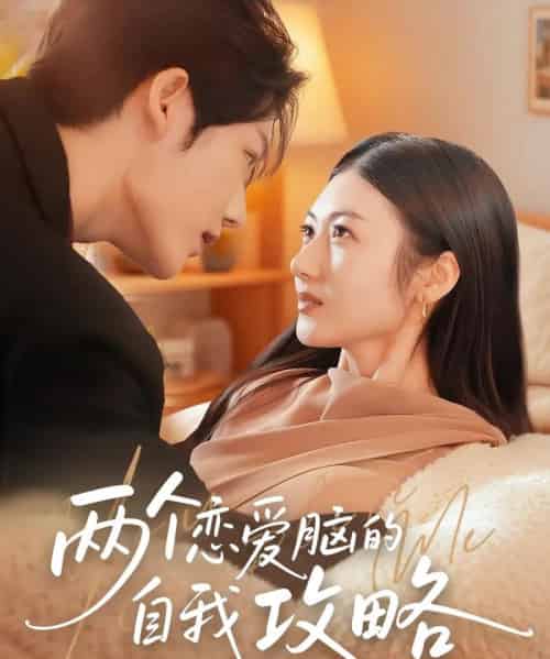 两个恋爱脑的自我攻略（70集）凌轩＆刘夏-搜外项目网