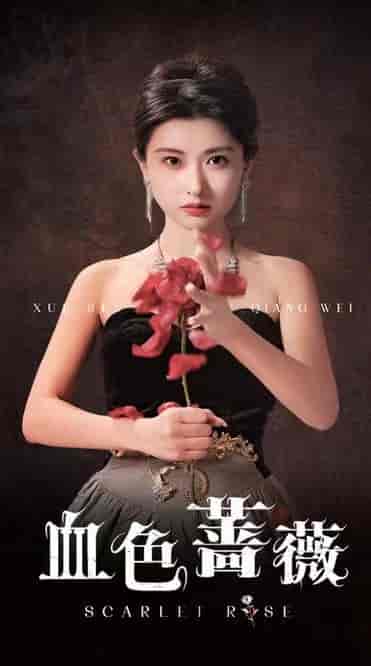 血色蔷薇(33集全)崔十一&程嘉一-搜外项目网