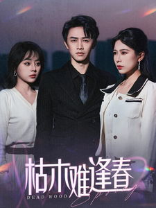 枯木难逢春（30集全）陈外＆孔梦琦-搜外项目网