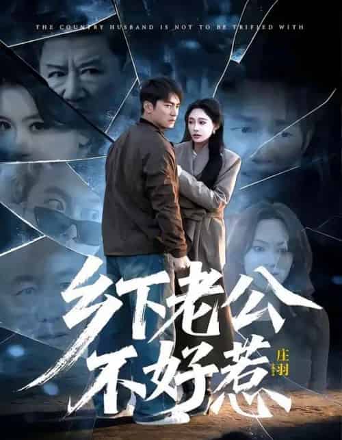 乡下老公不好惹（60集全）朱新辉＆张亚迪-搜外项目网