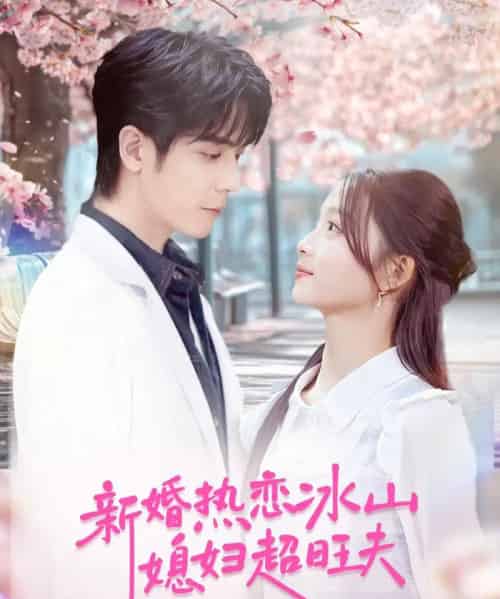 新婚热恋冰山媳妇超旺夫（60集全）李嘉豪＆刘苗苗-搜外项目网