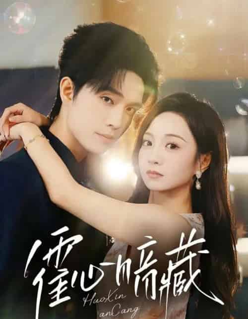 霍心暗藏（67集）梁思伟＆张楸梓-搜外项目网