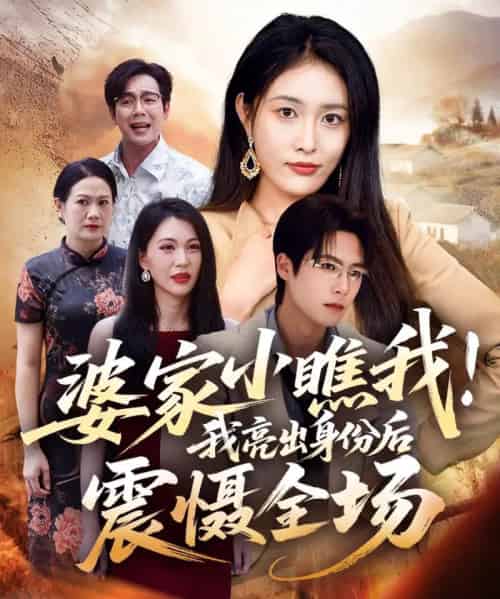 婆家小瞧我！我亮出身份后震慑全场（58集全）刘昌鑫（刘星辰）＆于颢鑫-搜外项目网