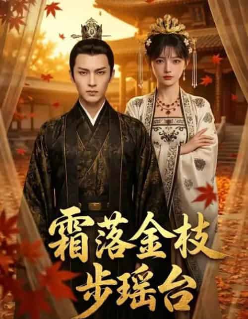 霜落金枝步瑶台（61集全）AI-搜外项目网