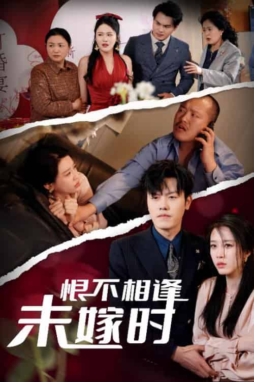恨不相逢未嫁时(30集全)吴雨阳&王锦颖&陈思琦-搜外项目网