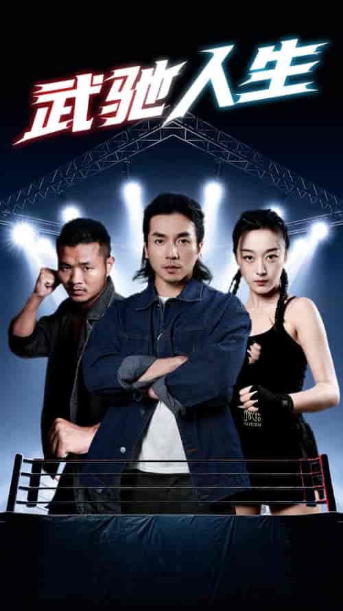 武驰人生（76集）张婉琳-搜外项目网