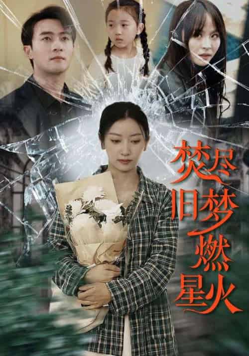 焚尽旧梦燃星火(71集)张玉娇-搜外项目网