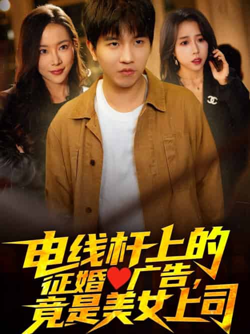 电线杆上的征婚广告，竟是美女上司（90集）李致逸＆惠一秋＆杨桃-搜外项目网