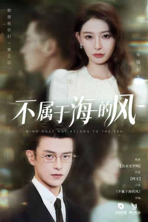 不属于海的风（40集）董炜＆武伯言-搜外项目网