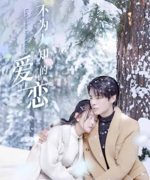 不为人知的爱恋(70集)段美洋&黎子舒&张嘉芮-搜外项目网