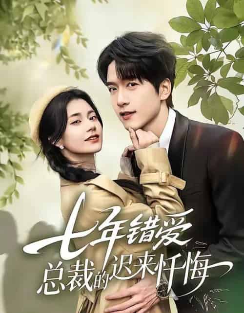 七年错爱：总裁的迟来忏悔（51集全）陆路＆郭伊慧-搜外项目网