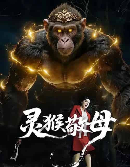 灵猴敬母（50集全）余果＆曹禹澄-搜外项目网