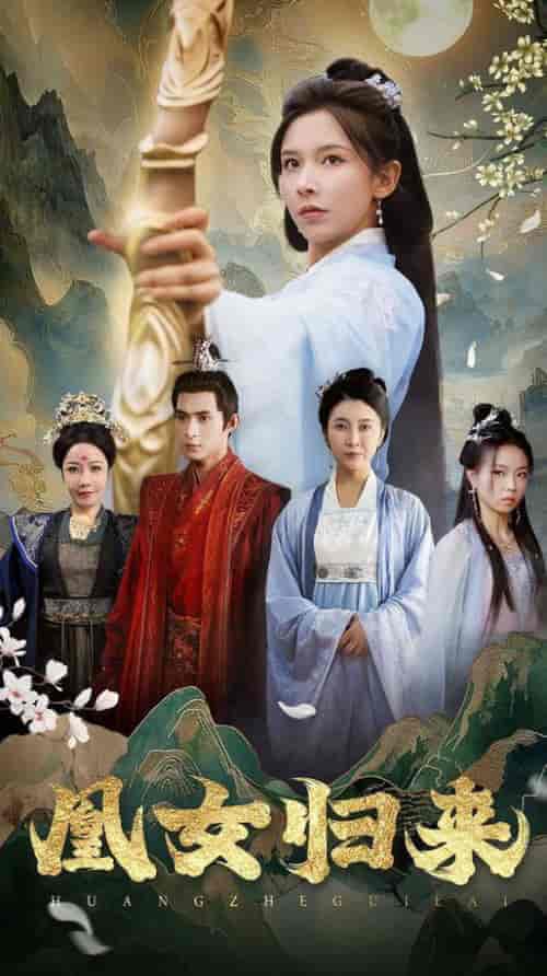 凰女归来（43集全）丁晓-搜外项目网