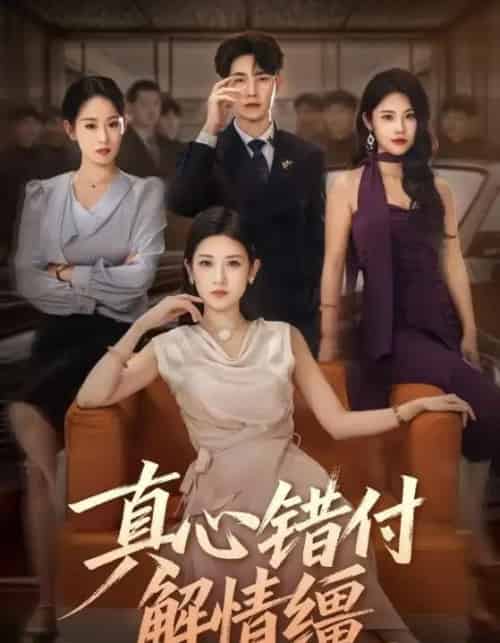 真心错付解情缰(71集全)薛海威&梅瑞滢-搜外项目网