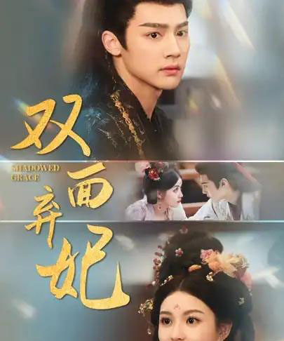 双面弃妃（80集）储子竣＆陈沐琳-搜外项目网
