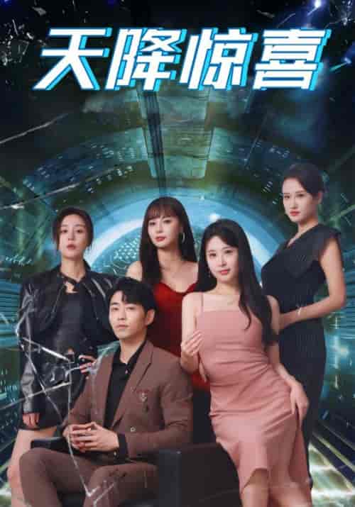 天降惊喜（71集全）张磊＆章若楠-搜外项目网