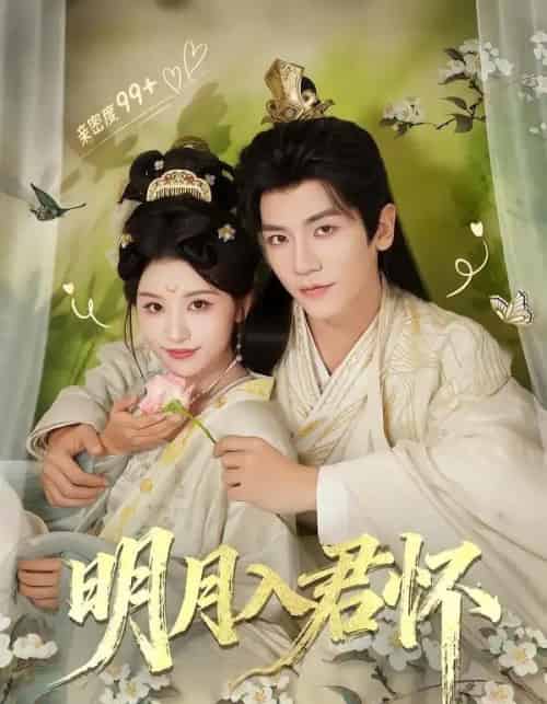 明月入君怀（70集全）安子杨＆李思潼-搜外项目网