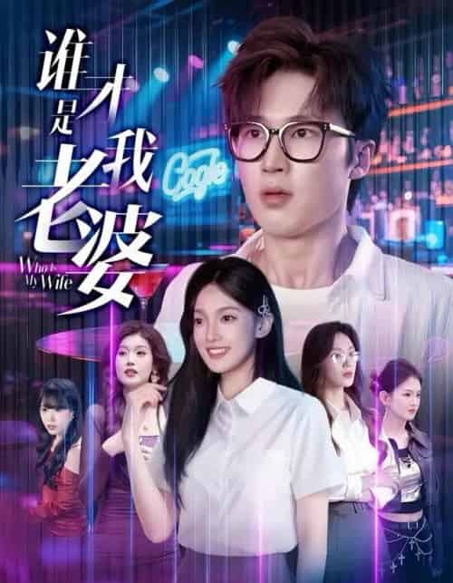 谁才是我老婆(78集全)李世豪&黄雅雯-搜外项目网