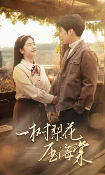 一树梨花压海棠(82集)严雯丽-搜外项目网