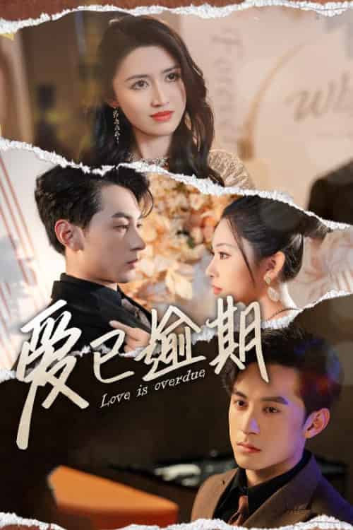 爱已逾期＆从此山海不相逢（50集全）张屹杨＆方旋-搜外项目网