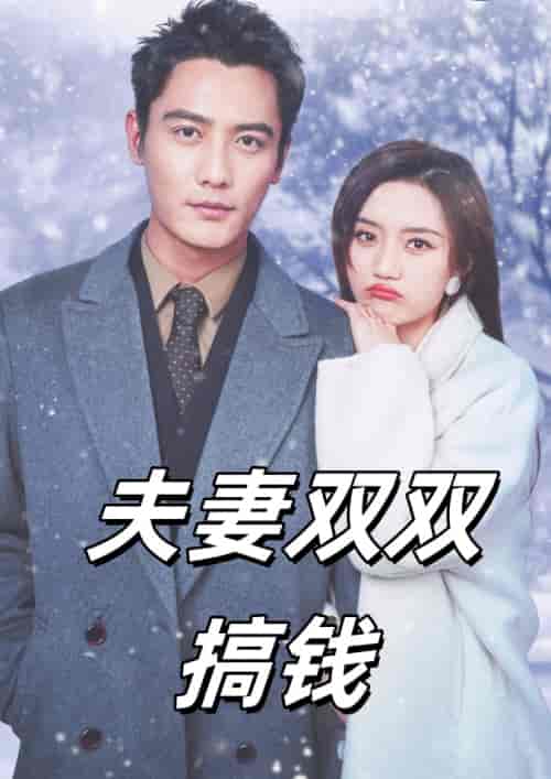 夫妻双双搞钱(82集)刘擎-搜外项目网